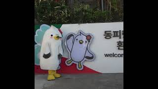 이제부터 동피랑 오시면 동백이가 반겨드리겠습니동~