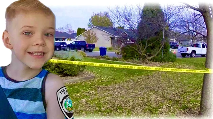 Latest developments in the search for Michael Vaug...