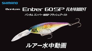 【水中ルアー動画】バンタム エンバー60SP フラッシュブースト【バンタム】