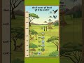 कौन से जानवर हमें कितनी दूरी से देख सकते हैं #shorts #sunnysir #wpbysunnysir