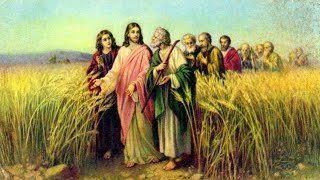 Пшеница - Это Наша Иисусова Молитва. А Плевелы - Это Наши Грехи.
