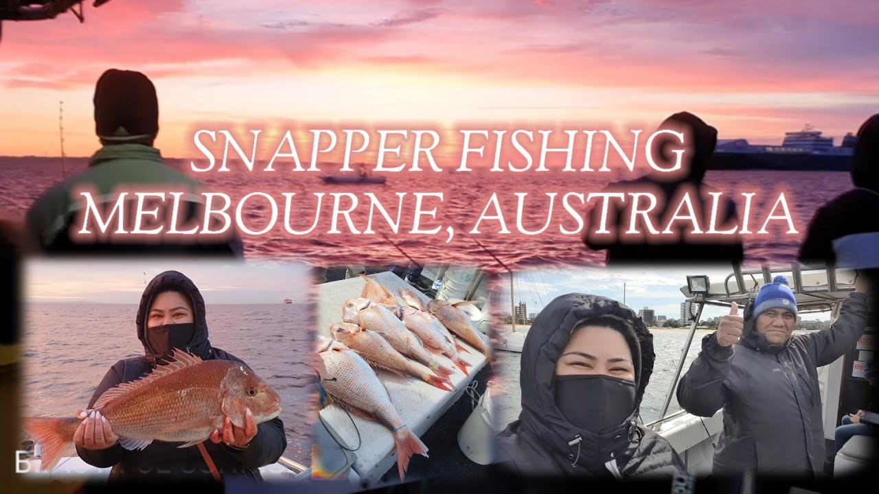 Snapper Fishing in Melbourne, Australia Nov 2021 - YouTube