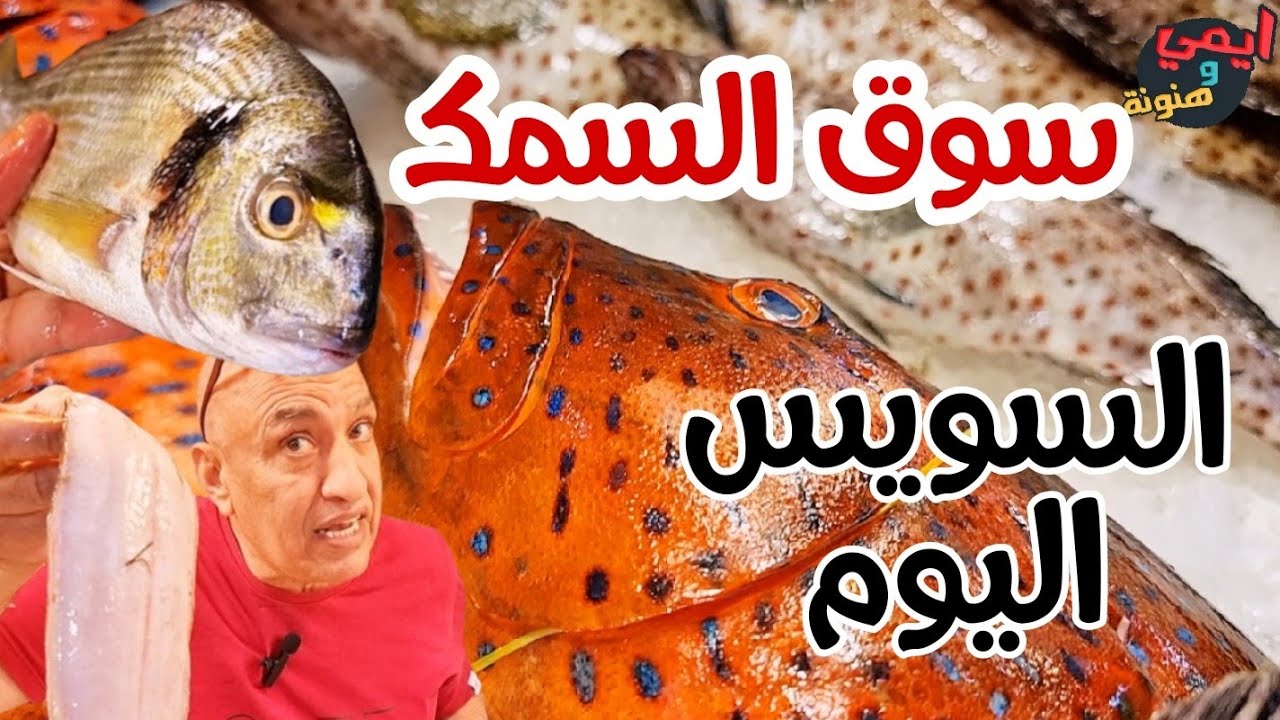 الاسعار اليوم في السويس || جولة عند بياع السمك النضيف بسوق سمك الأنصاري بالسويس