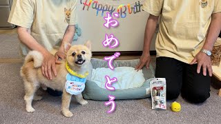 【祝】愛犬の誕生日を、実家の両親と一緒にお祝いしました