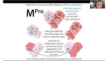 The basics & biochemistry of Paxlovid (Pfizer