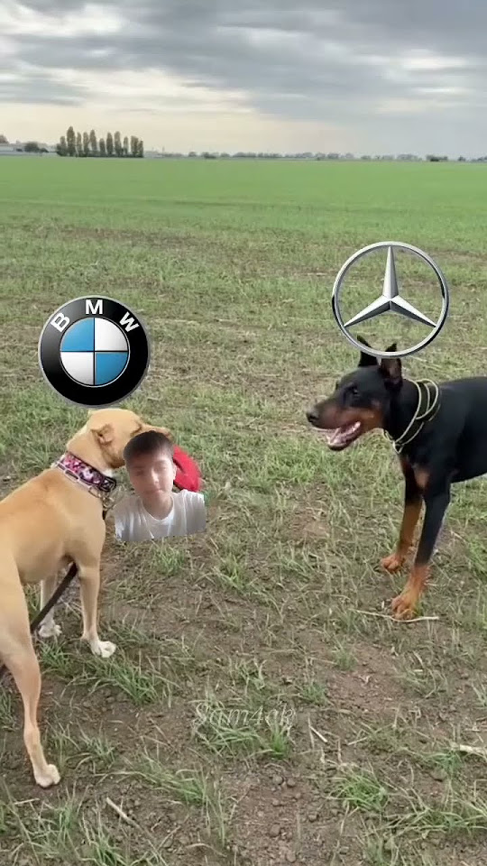 👍👍👍👍 🚘бенве или мерседес на пиши на каментарий - YouTube