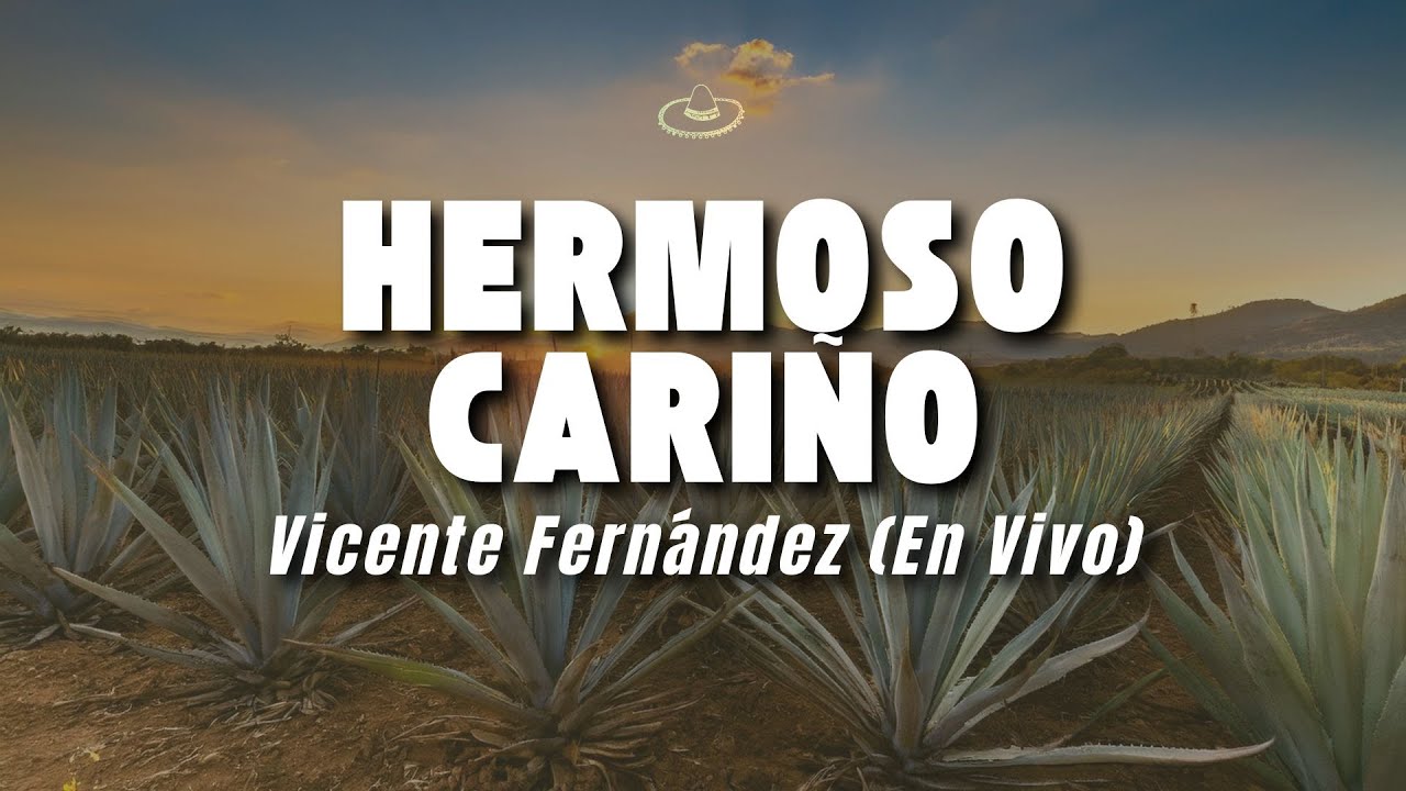 Vicente Fernández - Hermoso Cariño (En Vivo) (Letra/Lyrics)