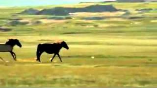 Welcome To Mongolia CNN BBC