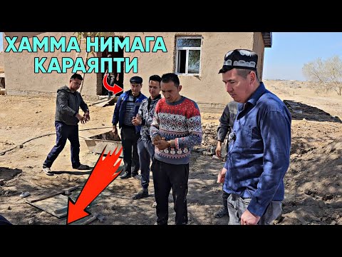 НИМА КИЛАМИЗ КАШКАДАРЁДАН КЕЛГАН ХАММА ХАЙРОН БОСА БОС КИЛАМИЗ