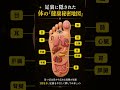 足裏に隠された体の「健康秘密地図」