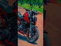 Red beauty DUKE 390