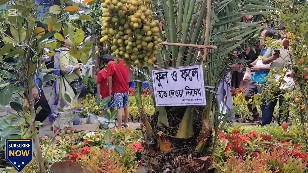 বৃক্ষ মেলা 2025. এক গাছের দাম ২,৬০,০০০ টাকা