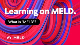 #02 What is MELD