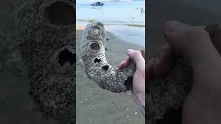 What I found 😳😳😳 #ragnarok #ancientrelic #danang