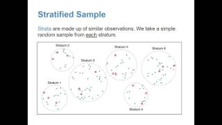 1.4 Observational Studies and Sampling Strategies
