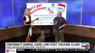 Cincinnati Animal Care to offer free microchips for first 100 pets