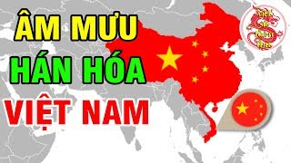 Trung Quốc Đã Bị Đồng Hóa Ngược Như Thế Nào Trên Đất Việt Nam Sau 1000 Năm  Bắc Thuộc - YouTube