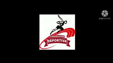 ¿Qué función tiene una federacion deportiva?