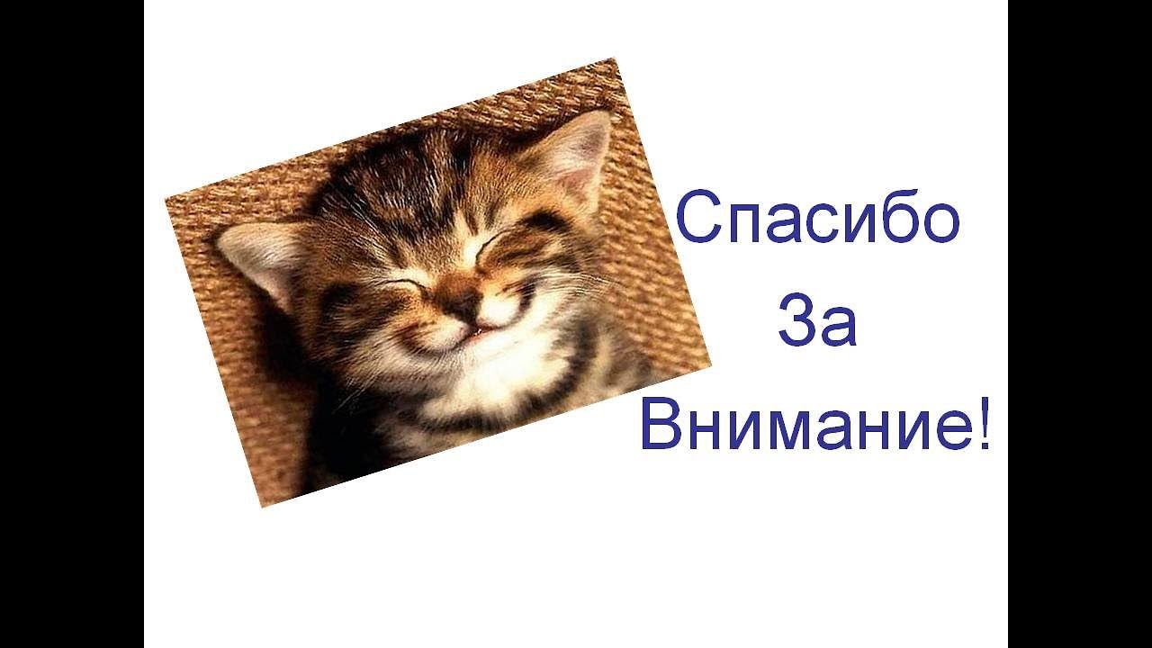 На этом все спасибо за внимание. Спасибо за внимание. Спасибо за внимание для презентации. Спосиибозззззззззаввнимание. Спасибо за внимание котик.