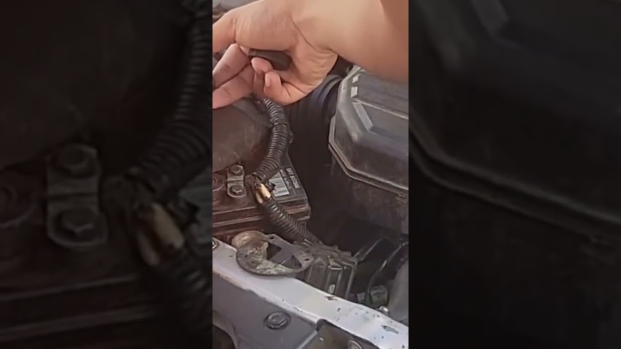 HS Red-Cool Extended Life Coolant