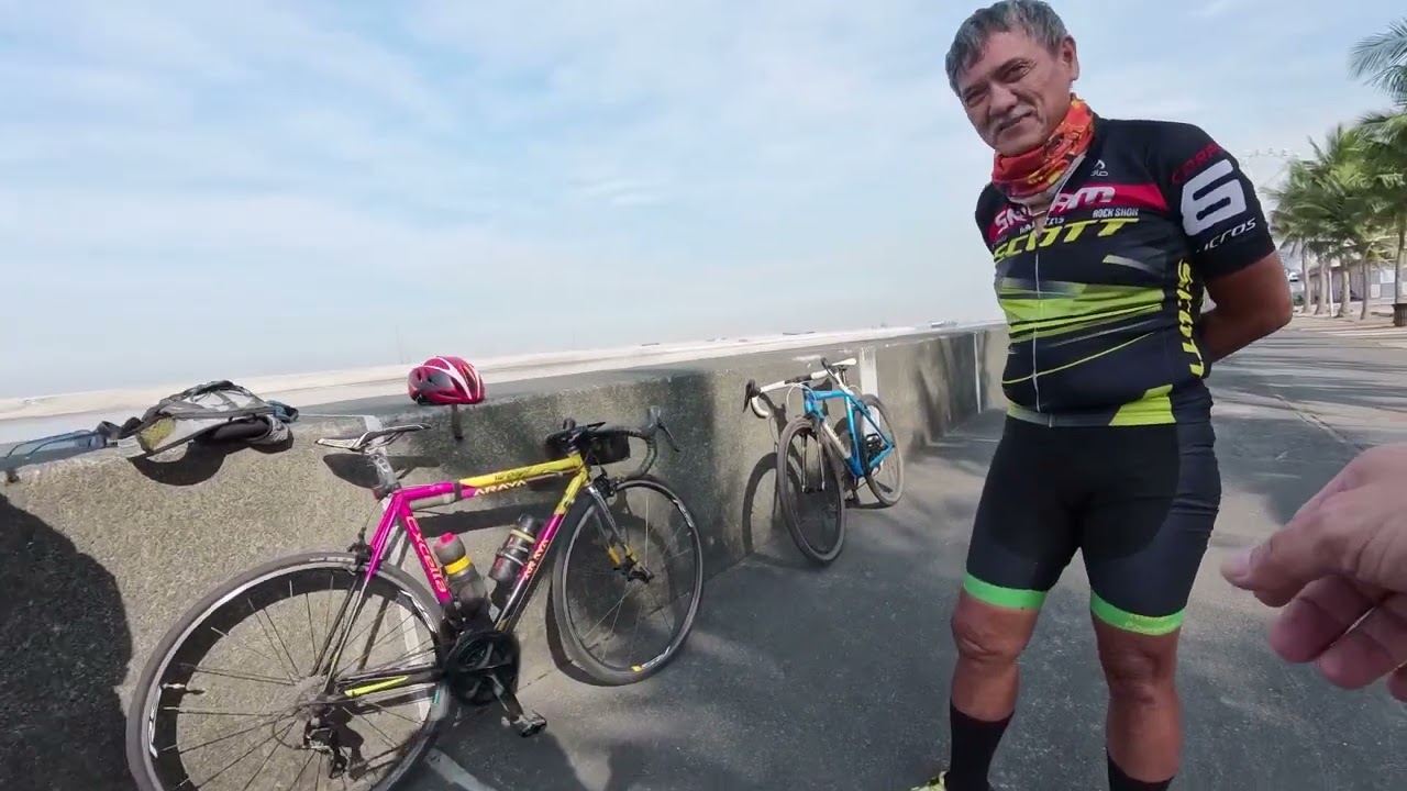 SHELLIBEE — The Housebands