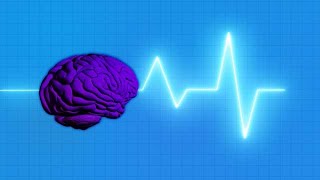 Human Brain and Pulse Wave glowing stock footage | stock video | Cinefootage