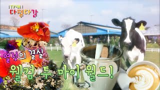 직캠 대세남녀 – 열정의 결실, 웰컴 투 마이 월드! / KBS대전 20200501 방송