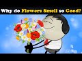 Why do Flowers Smell so Good?   more videos | #aumsum #kids #science #education #children