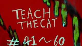 【English Sub】Teach the Cat #41〜60 【Animation】