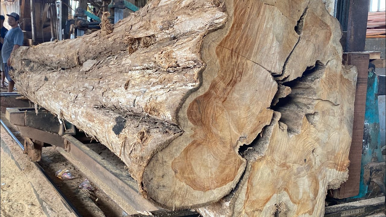 Wow Amazing!! The process of sawing large and hard teak wood - YouTube