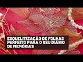 Como fazer esqueletizar folhas sem químicos