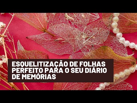 Vídeo: Esqueletalização De Folhas