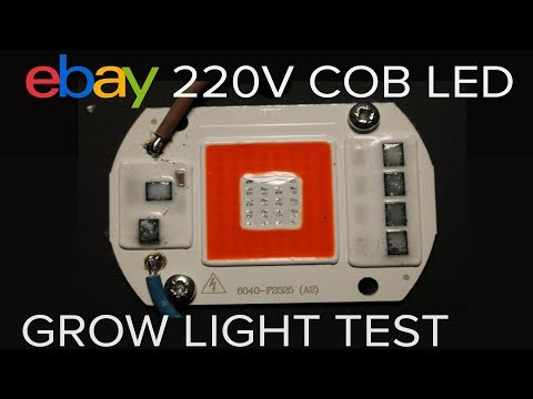 Ebay Mains COB LED Grow Light Test
