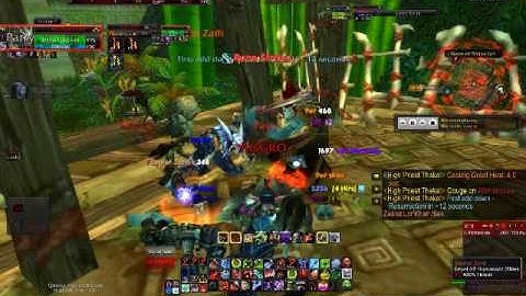 Zul Gurub Solo Part 3