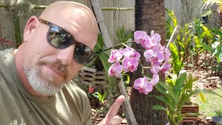 Florida&#39;s Great for your own Oasis! Flowers and Gardens! | FlSuburbanDad