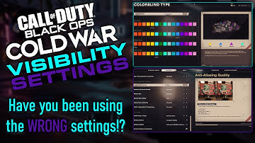 Black Ops Cold War | Best Visibility Settings! (How to see enemy players)