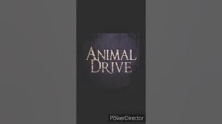 Animal Drive -- The Look