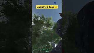 Crazy Zook Through Tree