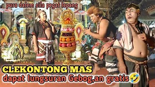 clekontong mas ngakak edisi sengap ngelungsur aturan gebogan, sokir biin mu ngap, tompel sing Maan🤣