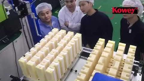 Kowey Cheese Sticks Full Automatic  Packaging(Robot Take-out+Stacking+Packaging)