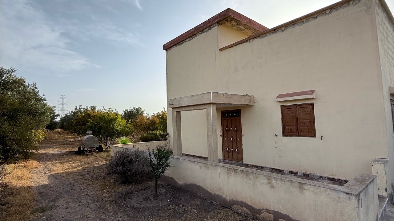 فيرمة لعشاق أشجار  الزيتون جاتكم من منطقة سيد العايدي موقع زين قريب من طريق وطريق السيار سطات كازا 📣