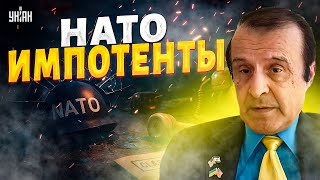 Хвалёная НАТО сдулась! Украина в одиночку разносит РФ — Европа упорно прячет голову в песок / Пинкус