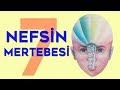 NEFSİN YEDİ MERTEBESİ