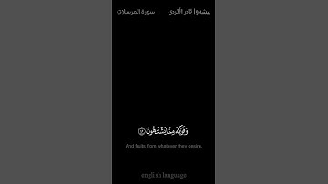 إن المتقين في ظلال وعيون وفواكه مما يشتهون - #بیشەوا_قادر_الكردي -  #كروما #سورة_المرسلات #حالة_واتس