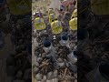 crazy tip for Empty Propane Tanks Rust