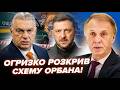 У це ВАЖКО ПОВІРИТИ, але це факт! ОГРИЗКО: Ось що зробив ОРБАН з вкраденими українськими ГРОШИМА