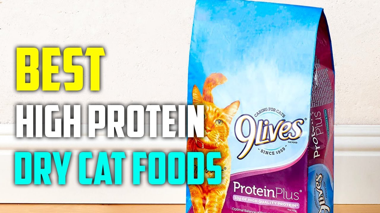 Best High Protein Dry Cat Foods Reviews [TOP 5 PICKS] YouTube