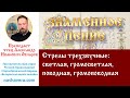 Урок 9.1. Стрелы трехзвучные: светлая, громосветлая, поводная, громоповодная