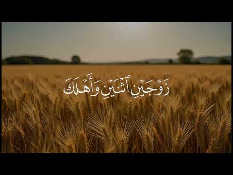 فأوحينا إليه أن اصنع الفلك بأعيننا بدر البشر سورة المؤمن القرآن الكريم راحة نفسية اكسبلور لايك