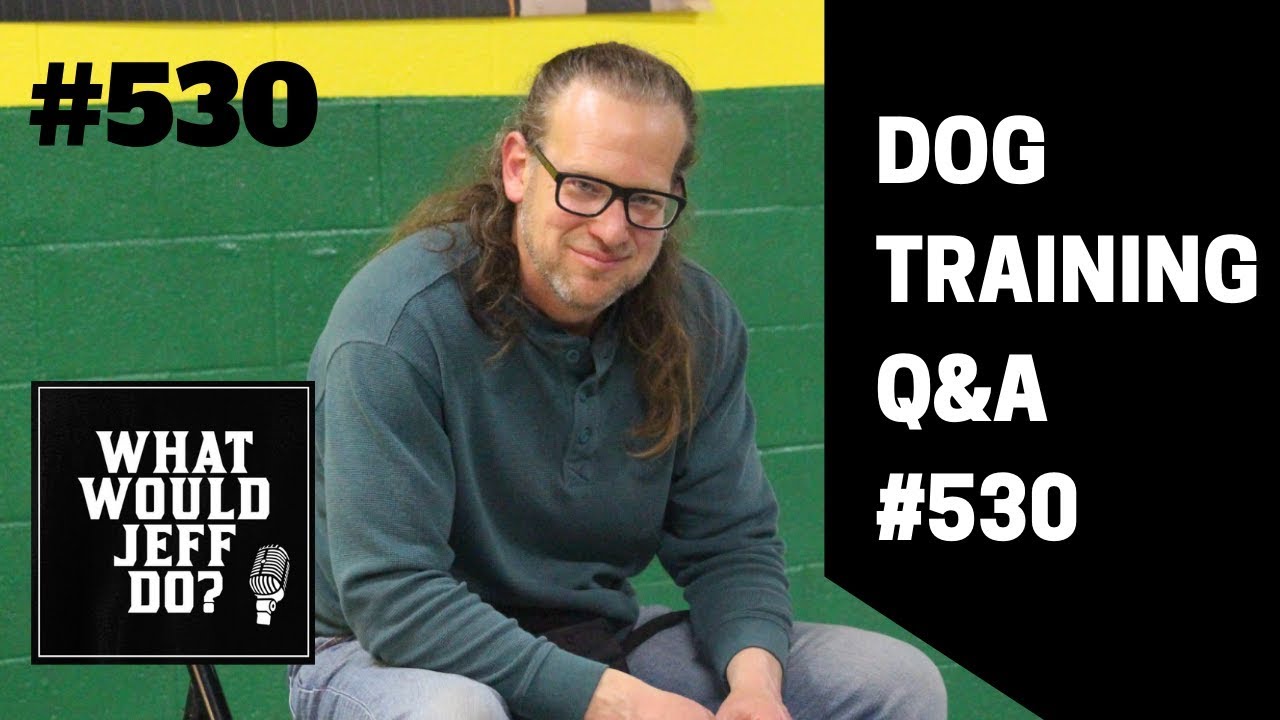 dog trainer in delhi Getting a Second Dog | Stop Dog Humping | What Would Jeff Do? Dog Training Q & A #530